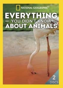 Everything You Didn't Know About Animals thumbnail