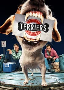 Terriers thumbnail