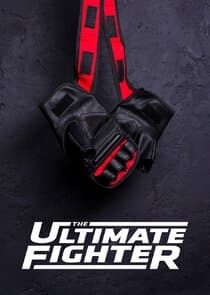 The Ultimate Fighter thumbnail