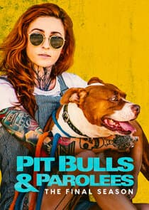 Pit Bulls & Parolees thumbnail