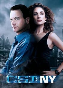 CSI: NY thumbnail