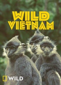 Wild Vietnam thumbnail