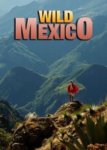 Wild Mexico thumbnail