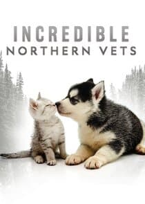 Incredible Northern Vets thumbnail