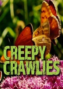 Creepy Crawlies thumbnail