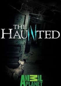 The Haunted thumbnail