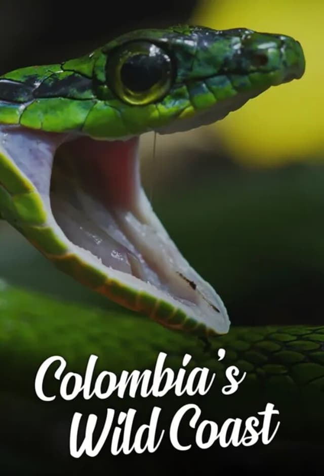 Colombia's Wild Coast