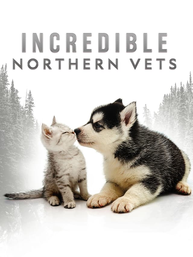 Incredible Northern Vets