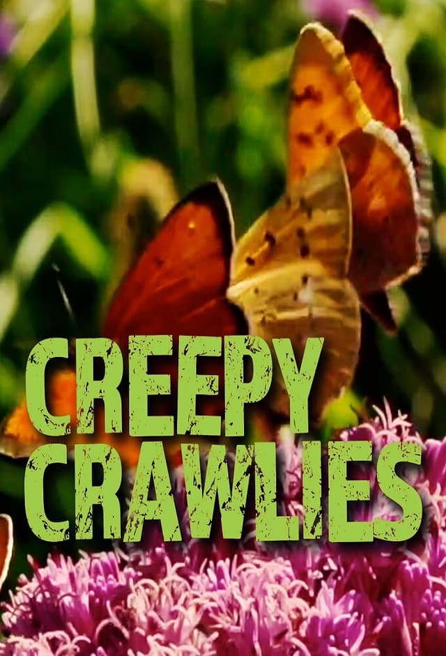 Creepy Crawlies