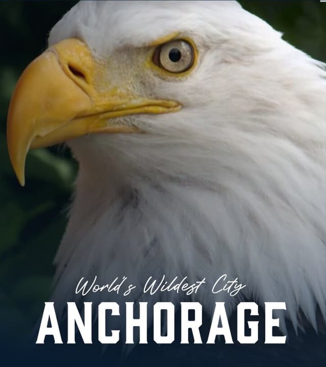 The Wildest City in The World: Anchorage