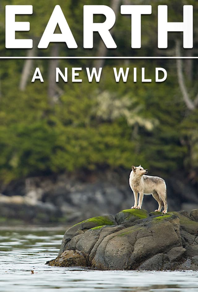 Earth: A New Wild